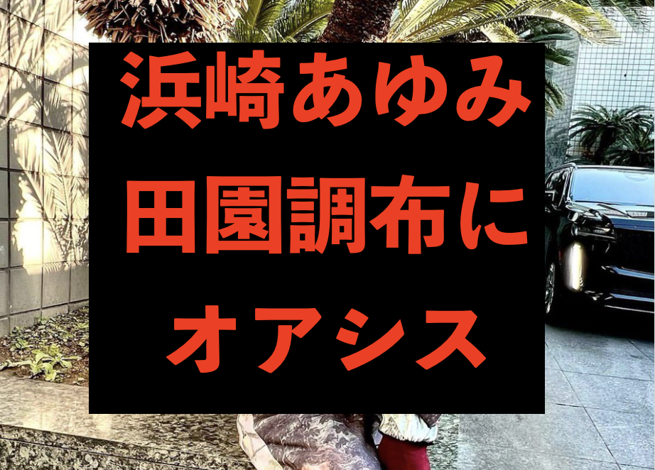 浜崎あゆみの自宅住所は田園調布 全盛期ワロタ ヒロとシマのシュクハック