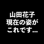 【最近見ない】山田花子の現在画像がこれです・・・仕事が・・・